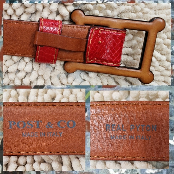 Post & Co. Real Python Belt - Picture 3 of 4